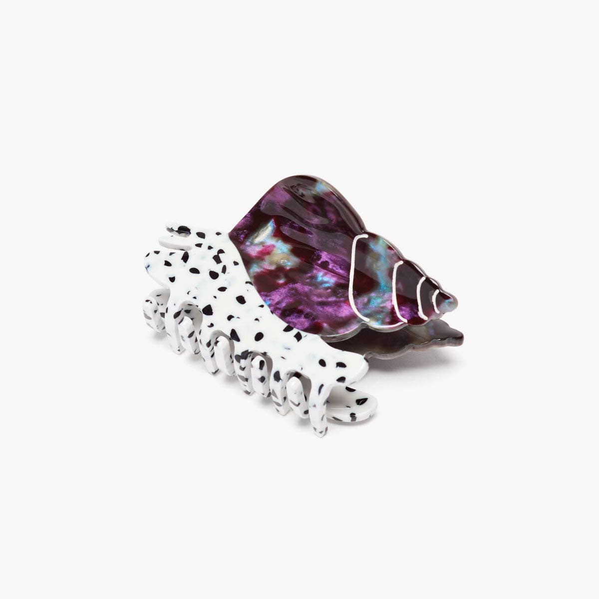Spotted Whelk Sea Snail Shell Claw Clip