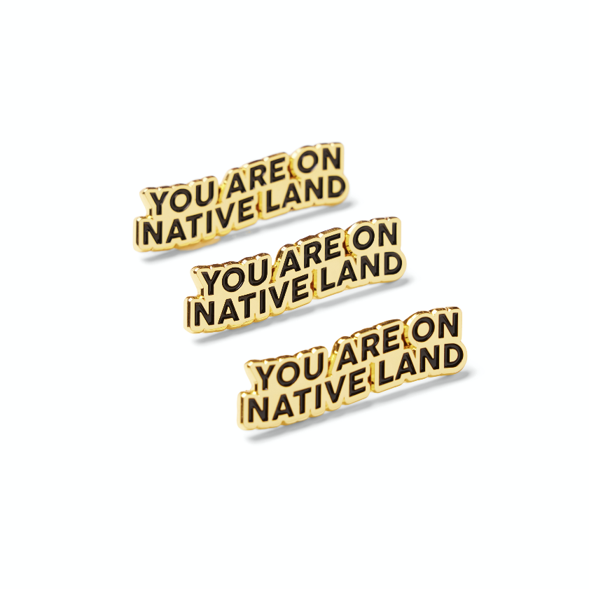 'You Are On Native Land' Pin