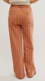 Hudson Canyon Stripe Pants