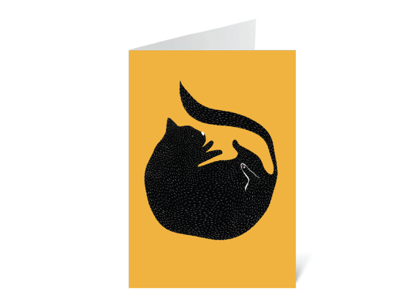 Round Cat Card