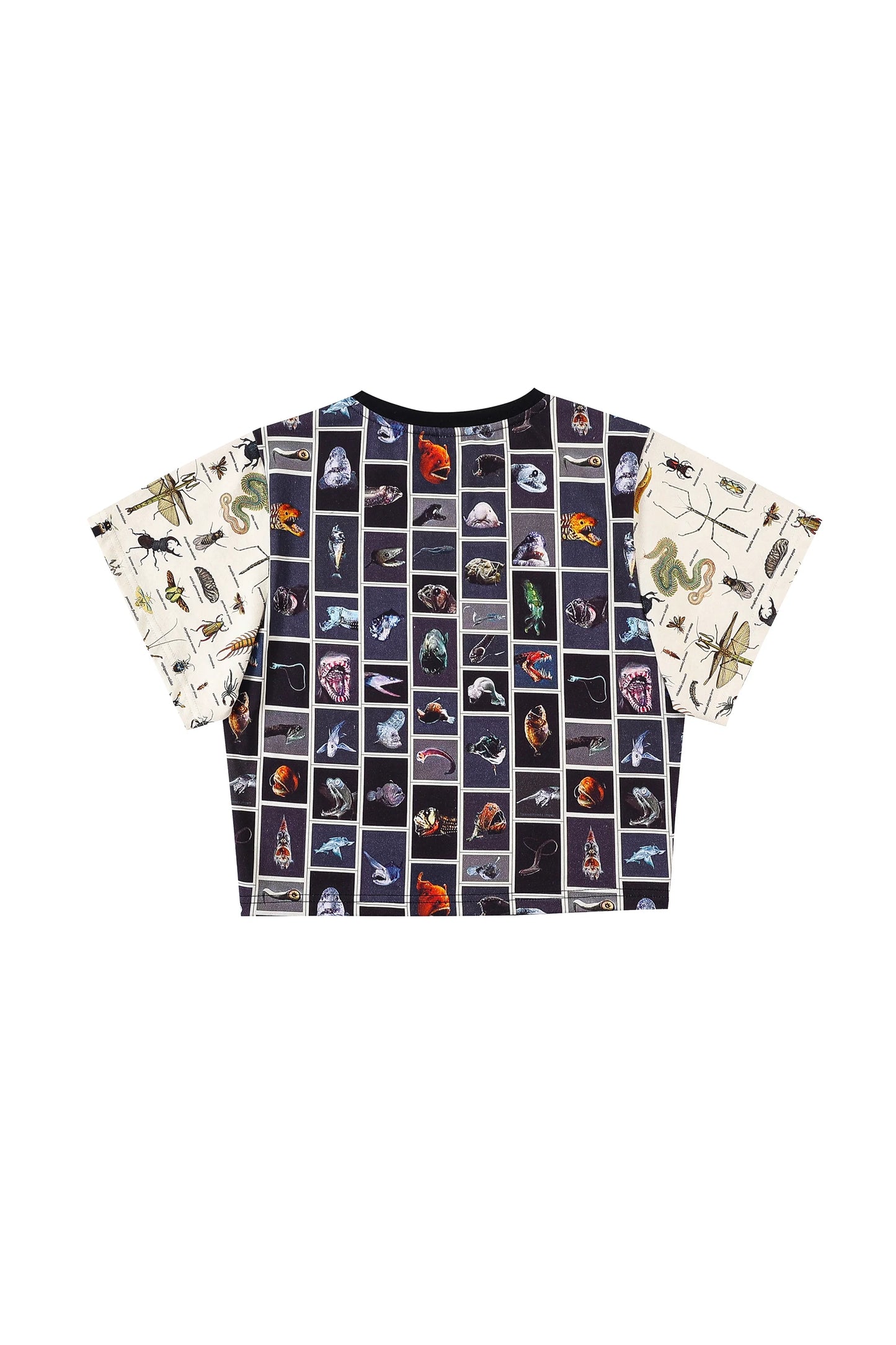 Frog/Bug/Fish Patchwork Tommy Tee