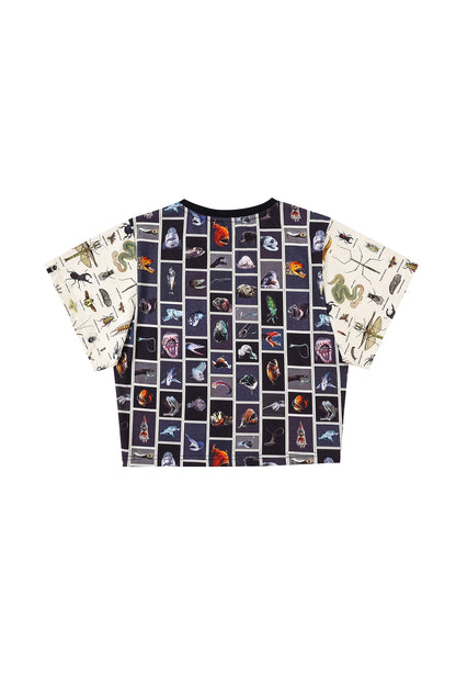 Frog/Bug/Fish Patchwork Tommy Tee