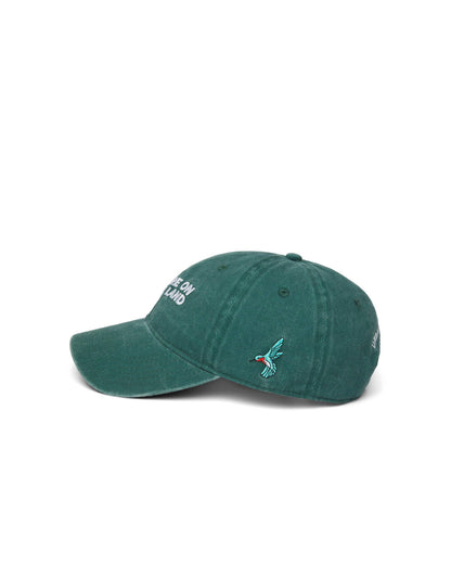 You Are On Native Land Dad Cap