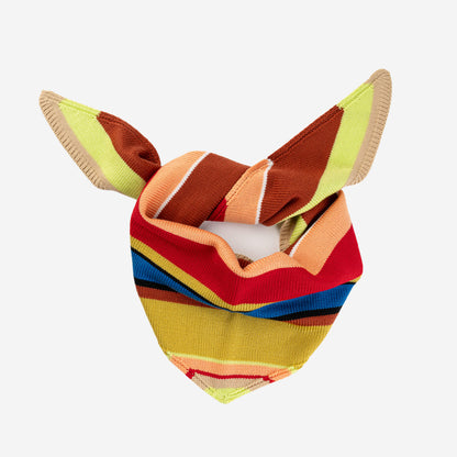 Multi Stripe Triangle Scarf