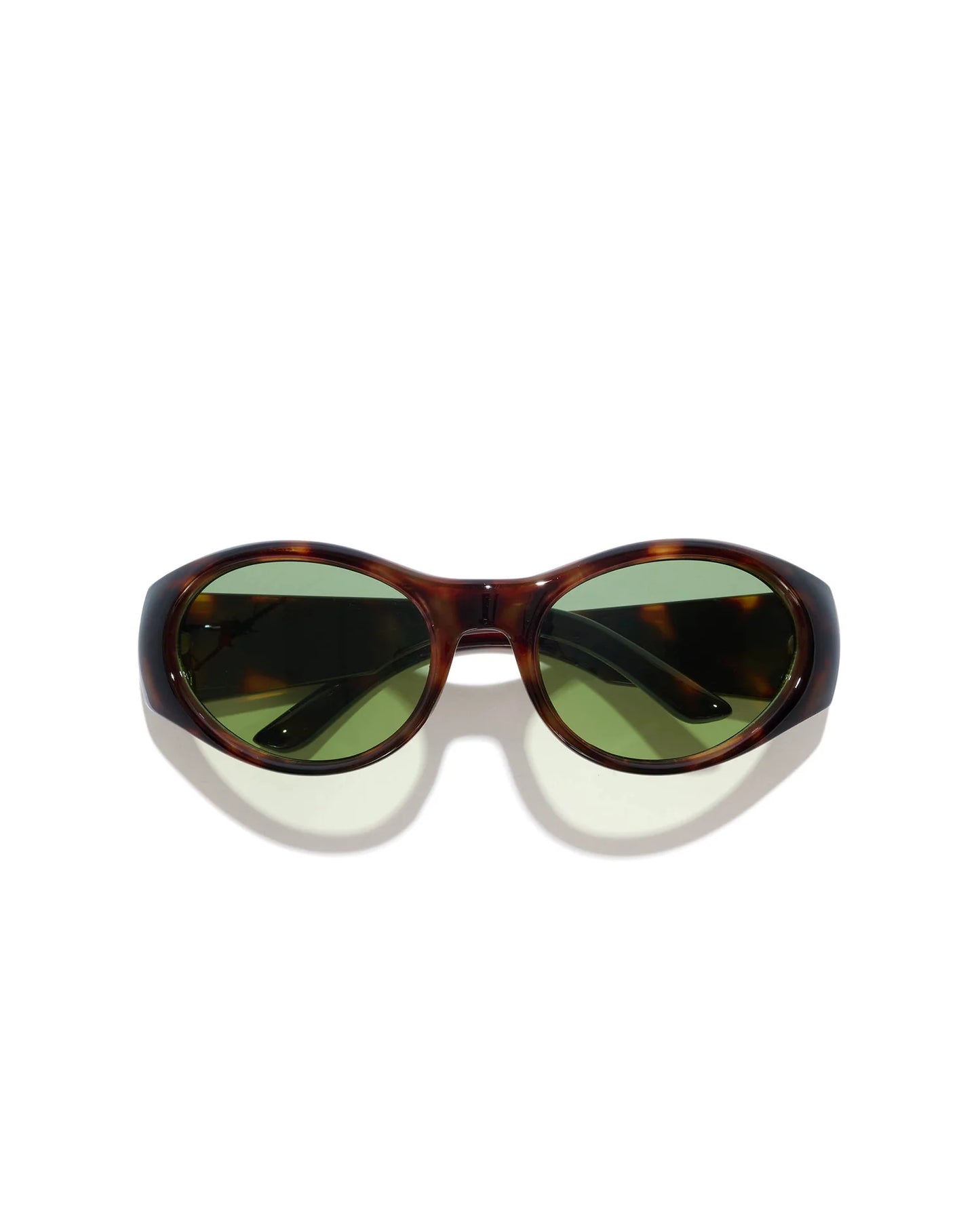 Stinkbug Sunglasses