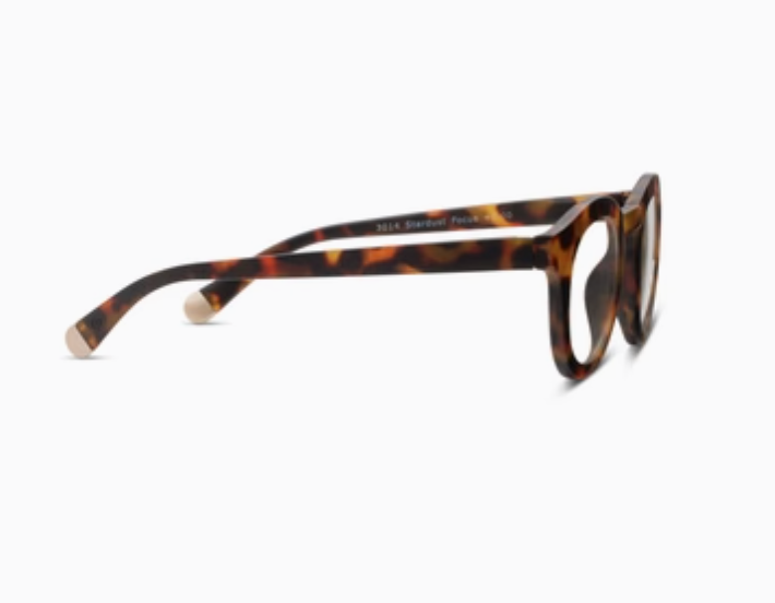 Stardust Glasses