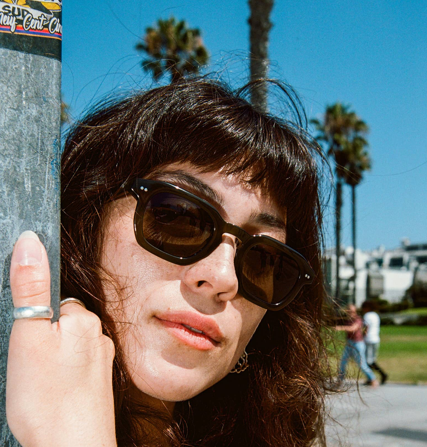 The No Wave Sunglasses