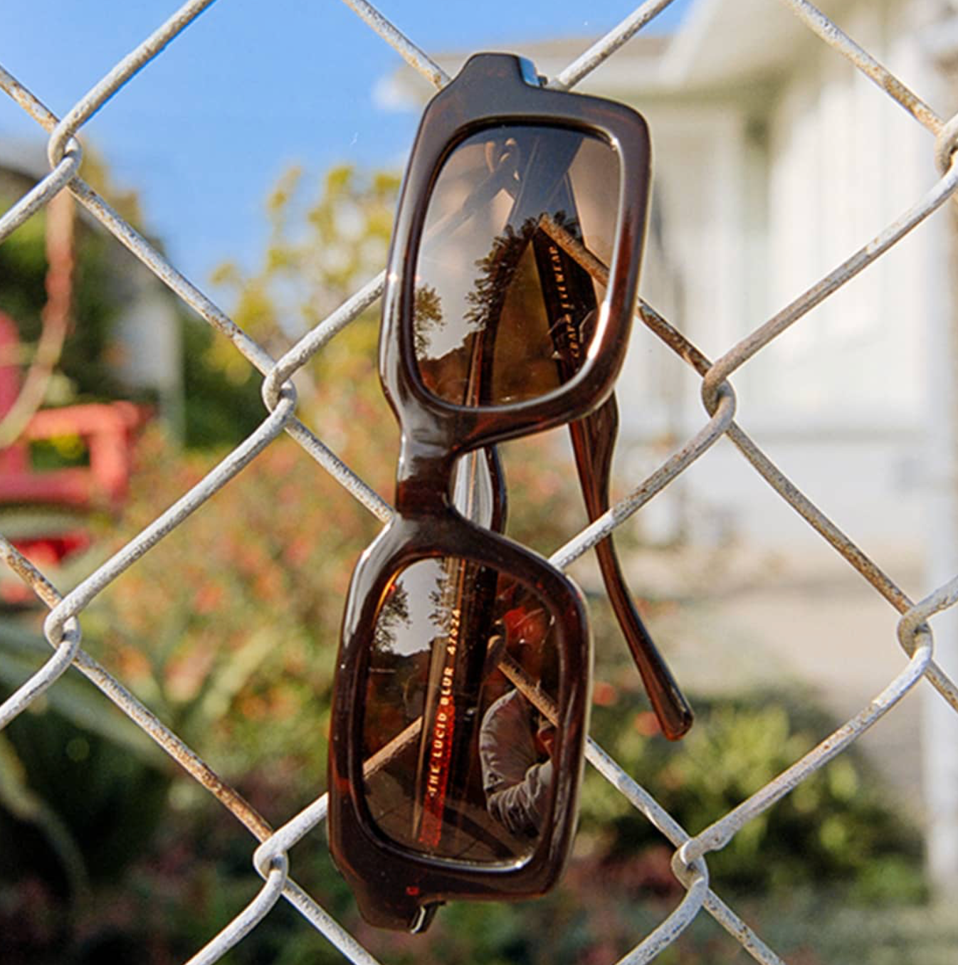 The Lucid Blur Sunglasses
