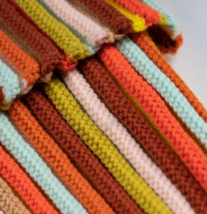 Circus Stripe Beanie