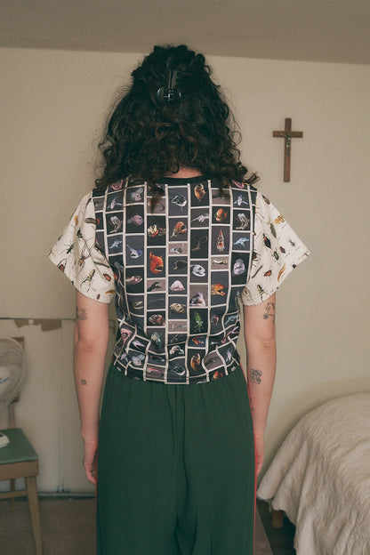 Frog/Bug/Fish Patchwork Tommy Tee