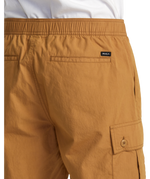 Civic Utility Shorts