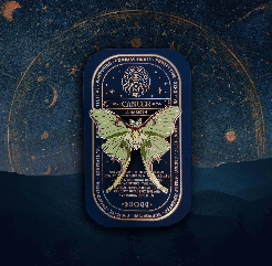 Zodiac Butterfly and Moth Pins