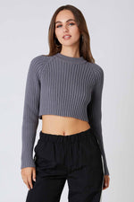 Stars Hollow Crop Sweater