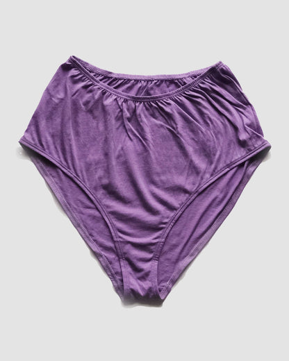 High-Waisted Brief*