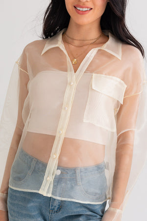 Anti-Hero Sheer Top