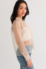 Anti-Hero Sheer Top