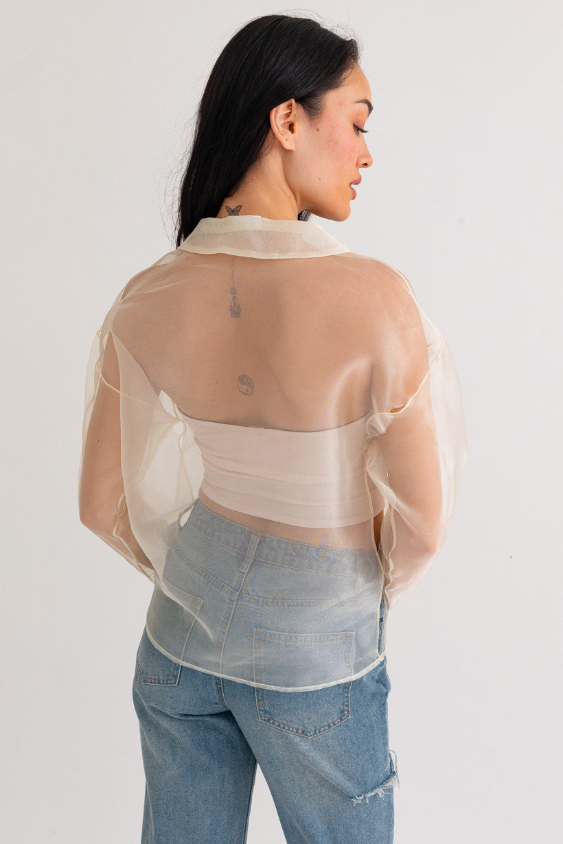 Anti-Hero Sheer Top