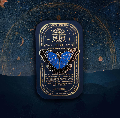 Zodiac Butterfly and Moth Pins