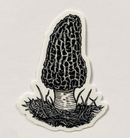 Morel Sticker