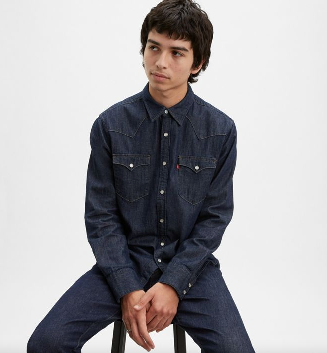 Barstow Western Standard Shirt SALE
